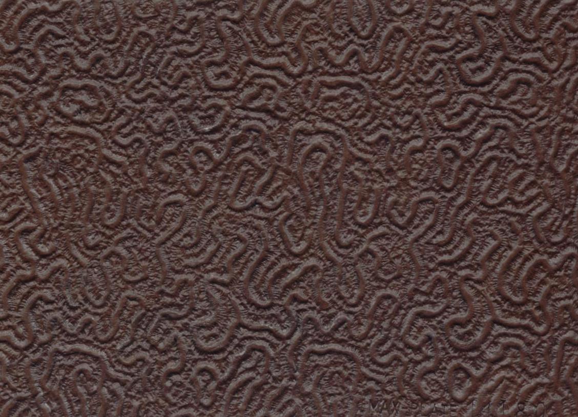Assumenda accus antium